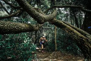 BIB: 
                            <button type="button" onclick="openModal(25705447)" class="btn btn-primary btn-sm float-right btn-popup" data-toggle="modal" data-target=".modal-high-quality">
                        <i class="fas fa-shopping-cart"></i> Add to Cart
                    </button>
                                            <button type="button" onclick="isThisMe(25705447, true)" class="btn btn-success btn-sm float-right btn-popup btn-isme hidden" data-toggle="tooltip" data-placement="bottom" title="นี่คือรูปของคุณใช่ไหม คลิกที่นี่เพื่อเอาเข้าอัลบั้ม">
                        <i class="fas fa-plus"></i> Add to album
                    </button>
                    <button type="button" onclick="isThisMe(25705447, false)" class="btn btn-warning btn-sm float-right btn-popup btn-isnotme hidden">
                        <i class="fas fa-ban"></i> Remove from album
                    </button>